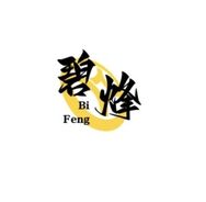 碧烽照明抖音达人头像