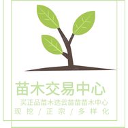 简阳市云苗苗苗木中心企业店抖音达人头像