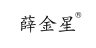 薛金星品牌Logo