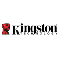Kingston/金士顿品牌Logo