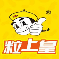 13907560/粒上皇品牌Logo