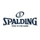 Spalding/斯伯丁品牌logo