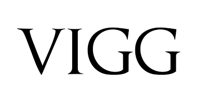 vigg品牌Logo
