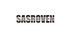 SASROVEN/赛沙利文品牌Logo