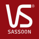 VS/沙宣品牌logo