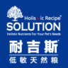 SOLUTION/耐吉斯品牌Logo