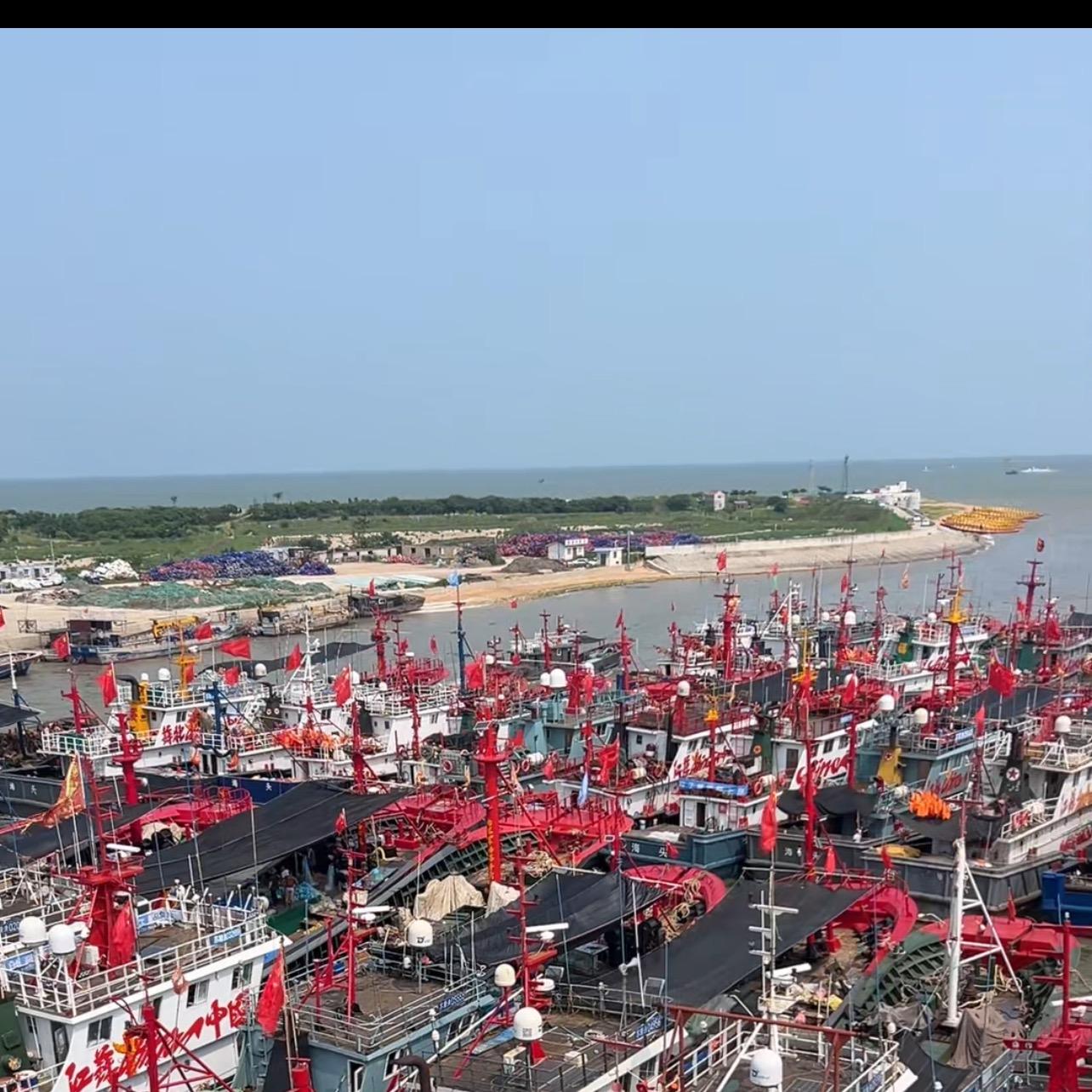 海虾仁破价了直播封面