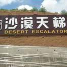 后天9🈷️6号了直播封面
