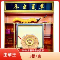 【虫草王】26年头期干草  3根/克  虫草王 礼盒装 高档滋补品商品图