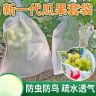 居家日用套装苦瓜防虫袋无纺布套袋青瓜丝瓜专用防雨包裹袋商品图