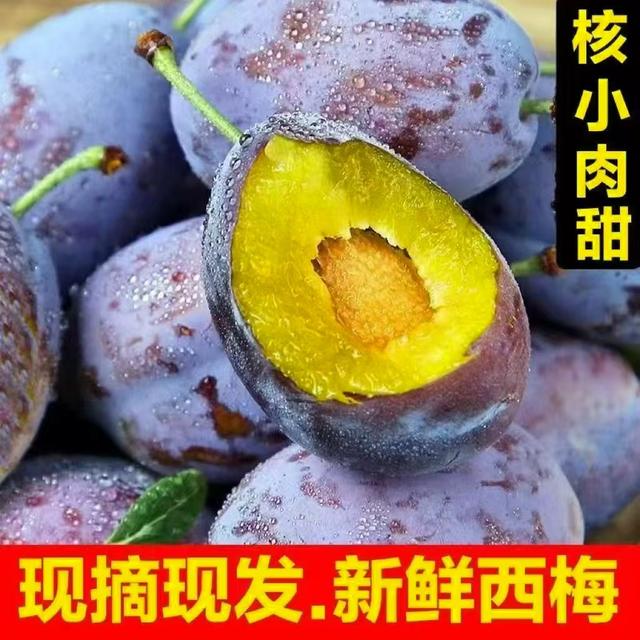 【坏果包赔】甘肃新鲜蓝蜜西梅当季现摘酸甜多汁应季鲜果商品图