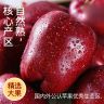 【脆口】花牛苹果正宗甘肃天水水果整箱当季糖心红蛇粉面丑平商品图
