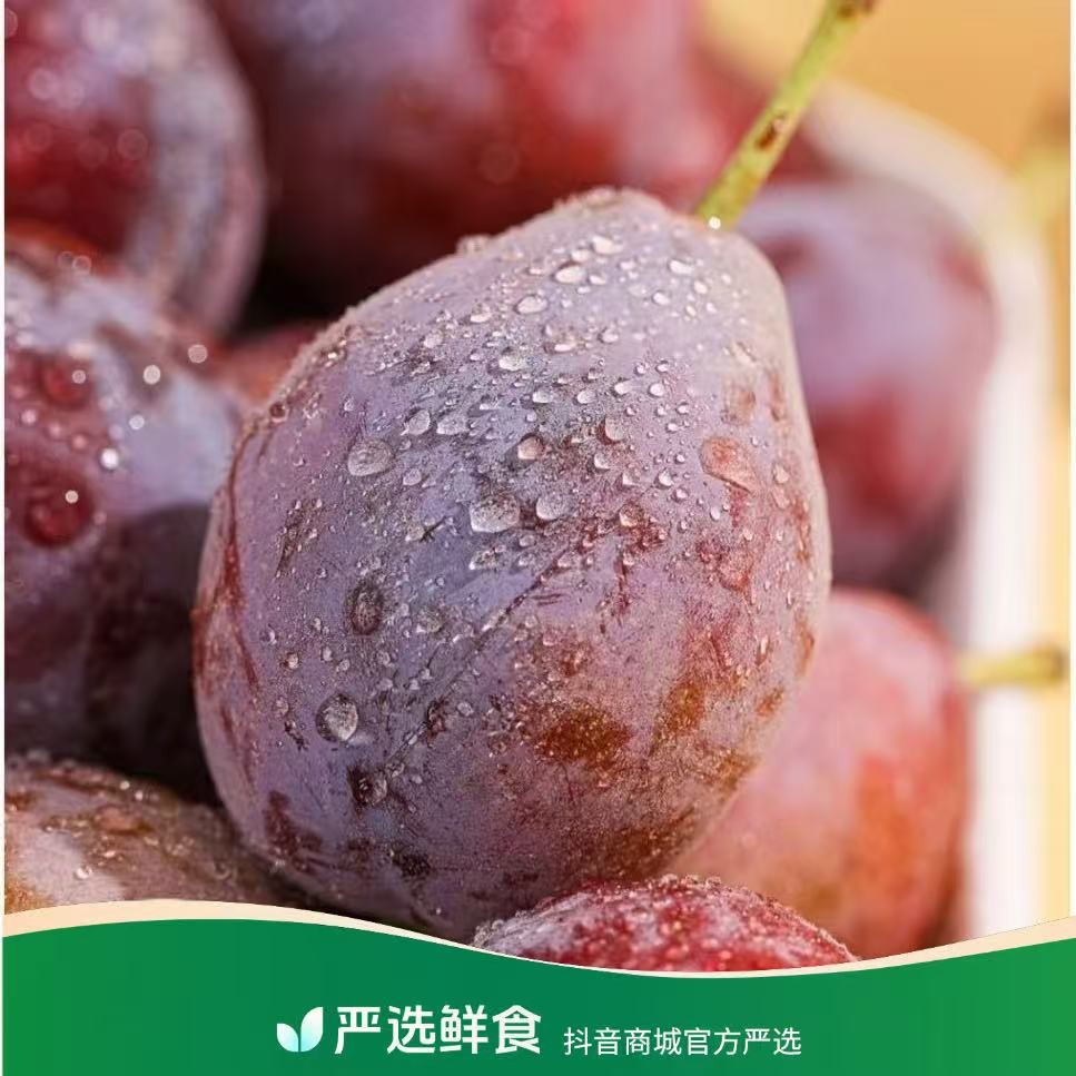 【蓝鲸小掌柜】伽师新梅新疆法兰西西梅一份2/3.5斤左右商品图