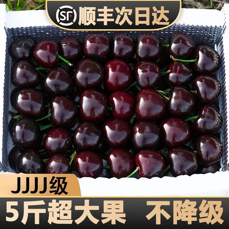 【果王】正宗美国黑珍珠车厘子空运大樱桃脆甜多汁顺丰包邮1J-4J商品图