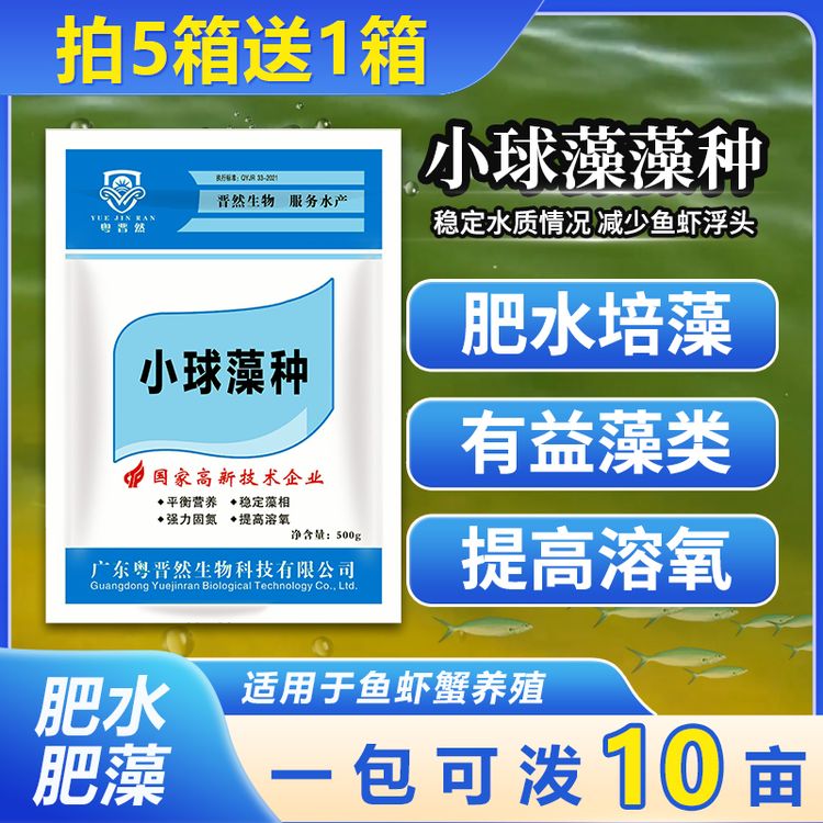 粤晋然小球藻藻种肥水培藻适用水产养殖鱼虾蟹塘有益藻类提高溶氧商品图