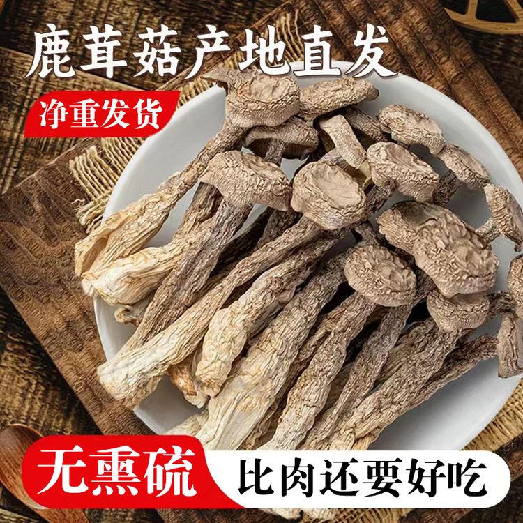 鹿茸菇干货500g/250g古田特产鹿茸菇新鲜鹿茸菌脆脆菇脱水蔬菜商品图