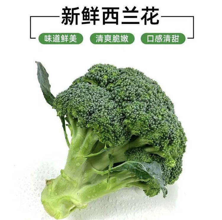 【顺丰包邮】现砍现发露天种植农家自种应季西兰花新鲜蔬菜商品图
