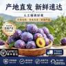【顺丰京东包邮】正宗甘肃高山女神蓝蜜西梅水果酸甜可口香甜李子商品图