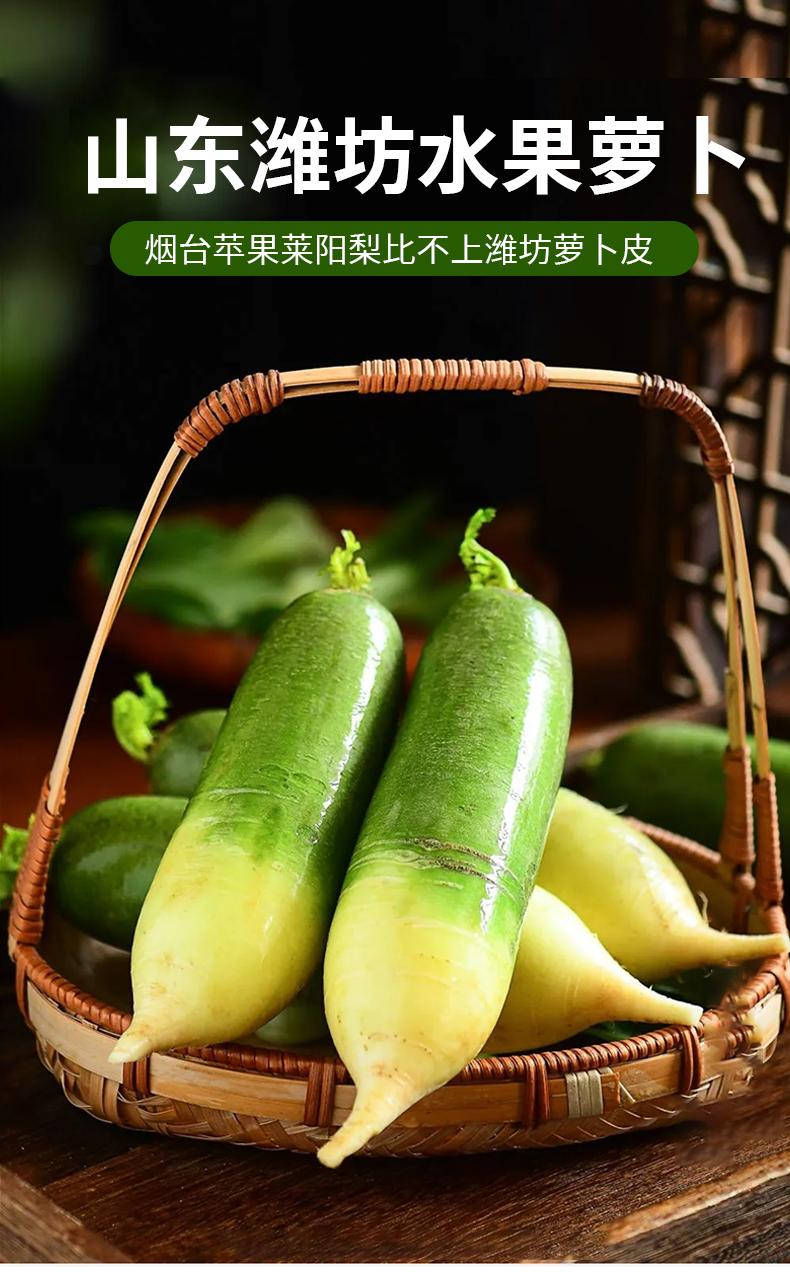 山东潍坊现拔水果萝卜5斤装青萝卜潍县萝卜潍县高脚青细长嘎嘣脆