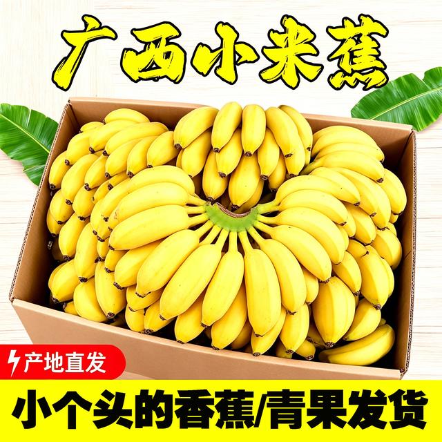 现摘广西小米蕉当季新鲜水果鸡蕉拇指蕉迷你小芭蕉自然熟香蕉整箱商品图