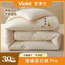 VIOLET/紫罗兰A类深睡蚕蛹蛋白被超柔春秋被加厚保暖冬被四季通用商品图