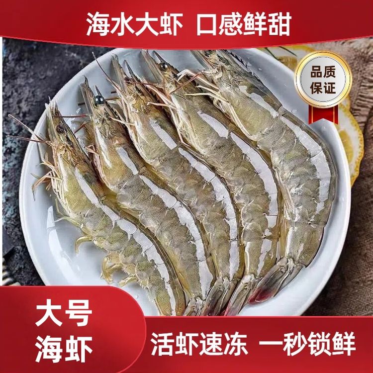 青岛发货大号海虾单只13-16厘米左右55-65只左右活虾速冻3斤4050商品图