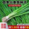 【5包】小香葱种子易种小香葱阳台室内外盆栽商品图