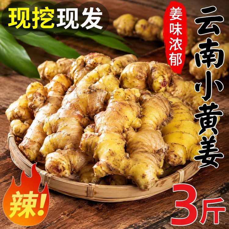 【精品3斤】云南正宗小黄姜山地种植月子姜老姜土姜沙姜蔬菜调料商品图