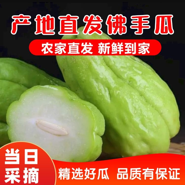 高山新鲜佛手瓜现摘现发清甜应季蔬菜洋瓜寿瓜农家自种商品图