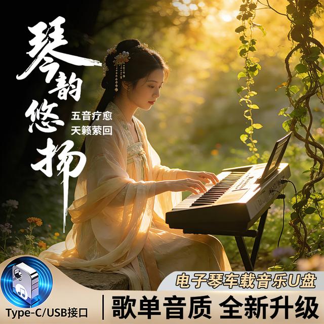 【电子琴纯音乐】车载U盘流行歌曲 重低音DJ民乐五音疗愈萨克斯钢琴商品图