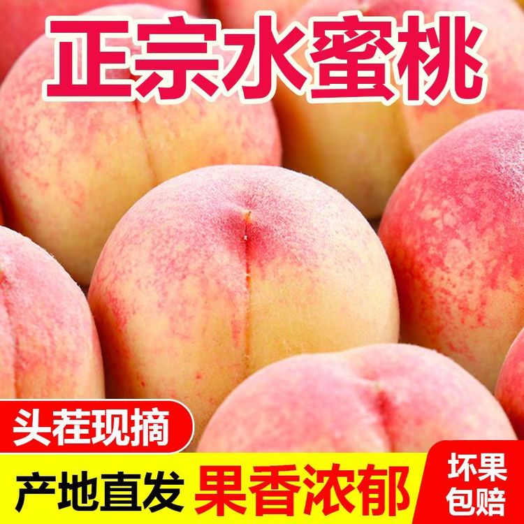 “ 【泡沫托盘/软硬两吃】 现摘水蜜桃脆甜桃子新鲜水果毛桃”商品图
