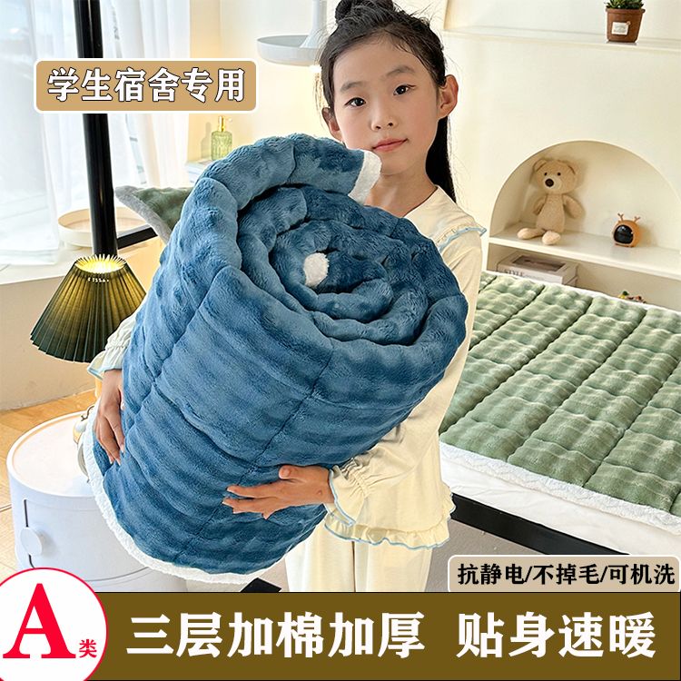 家纺A类可机洗不掉毛牛奶泡泡绒学宿舍加倍防滑床护垫床褥厚床盖商品图