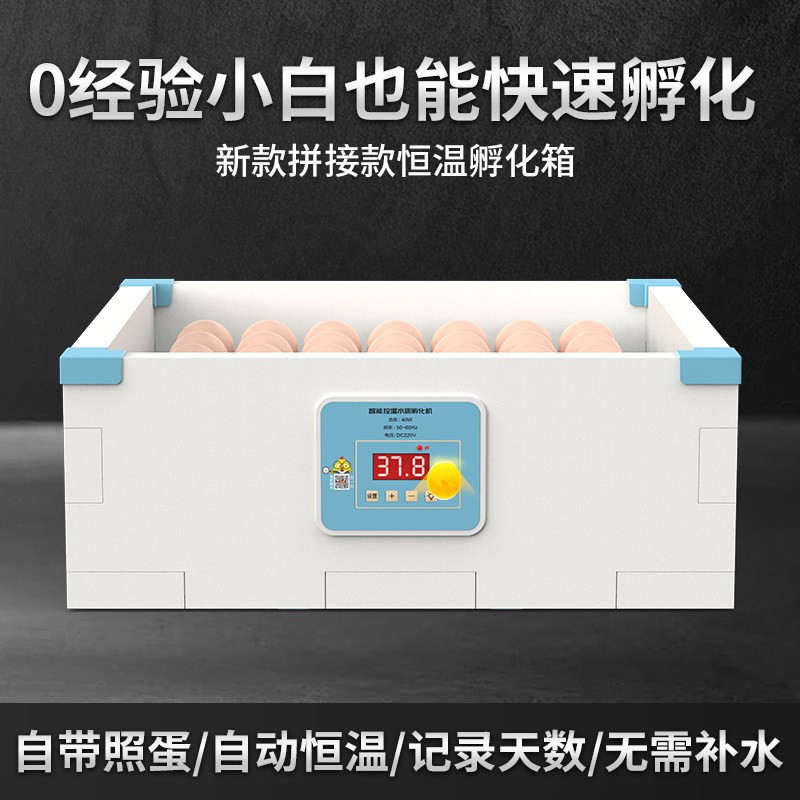 孵化器水床智能孵蛋器家用型小型孵化机小鸡芦丁鸡鸭鹅蛋孵化箱商品图