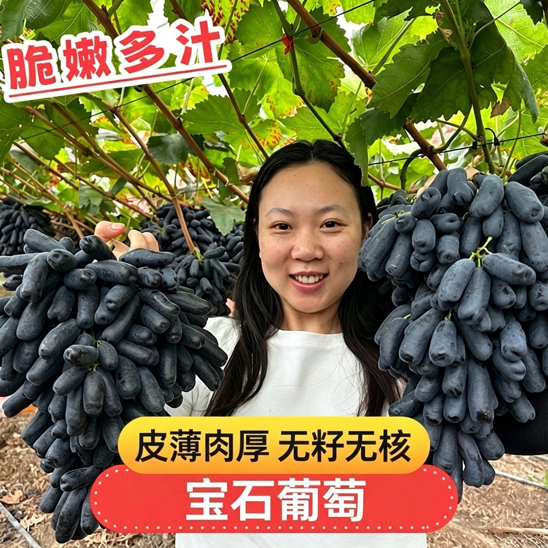【顺丰京东】新鲜宝石葡萄无籽黑提水果3斤整箱更划算  JJ商品图