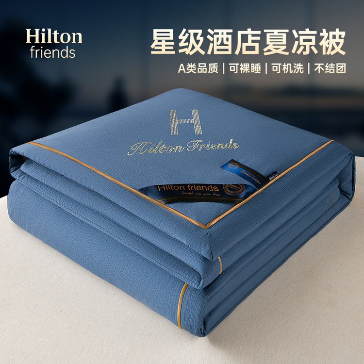 Hilton friends夏凉被子被芯空调被棉被单双人学生宿舍加厚子母被商品图
