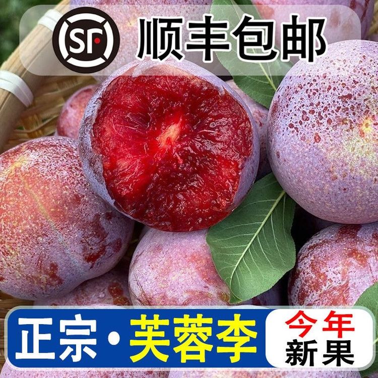 【顺丰京东包邮】福建芙蓉李正宗新鲜现摘红心李子酸甜脆可口水果商品图