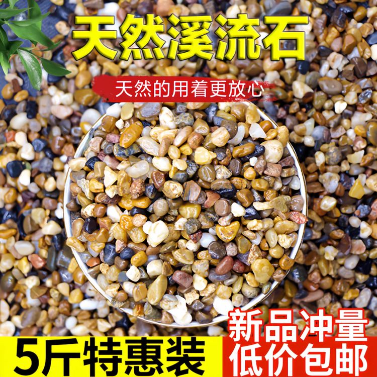 天然河沙溪流沙鹅卵石原生水族鱼缸水草缸多肉铺面小石子过滤豆石商品图