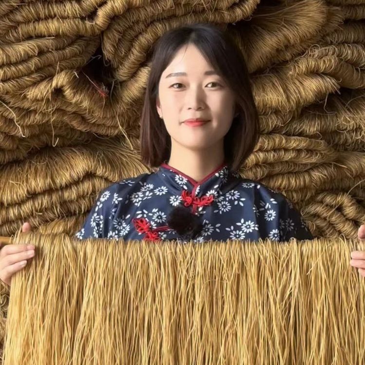 【刘大姐】山东红薯粉条农家手工粉条自然晾晒干货支持试吃食材商品图