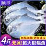 【4包500g/包】连云港海捕银鲳鱼深海鱼新鲜白鲳船冻发货非冷库货商品图