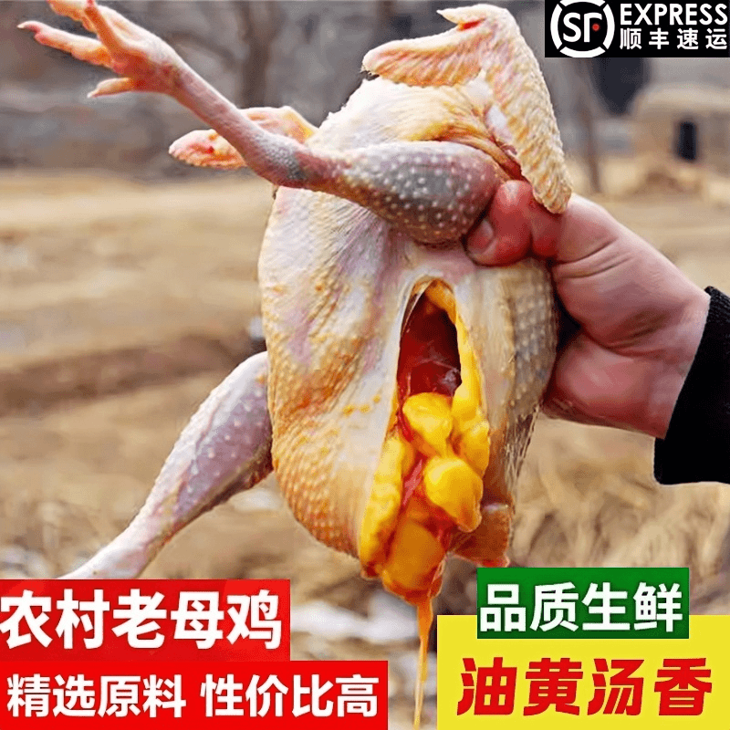 2只3年正宗老母鸡现杀新鲜土鸡农家散养柴鸡走地鸡草鸡笨鸡整只商品图