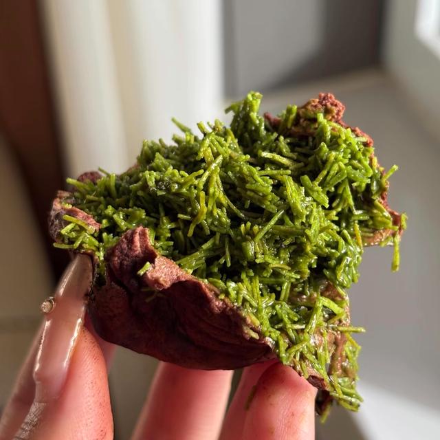 【Duke都壳】可可棉花糖巧克力迪拜软曲奇开心果酱面包丝手工专属商品图