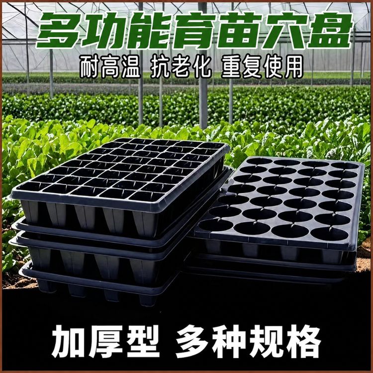育苗盘穴盘托盘玉米秧苗盘西瓜72穴辣椒盘蔬菜盒秧苗盆加厚箱塑料商品图