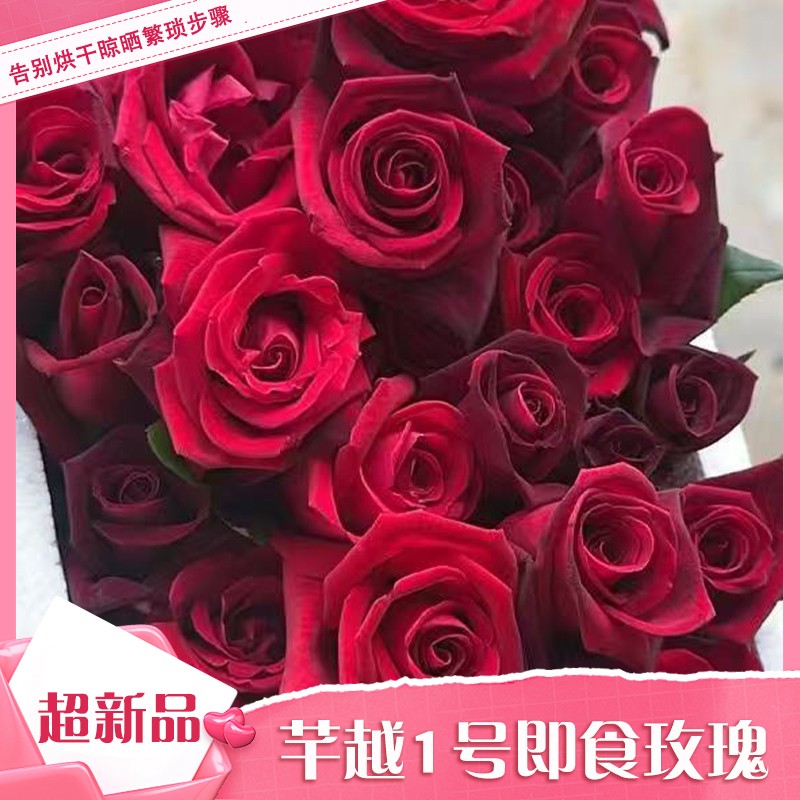 【芊越一号】新品种可食用即食玫瑰花苗大花浓香无刺多季节开花商品图
