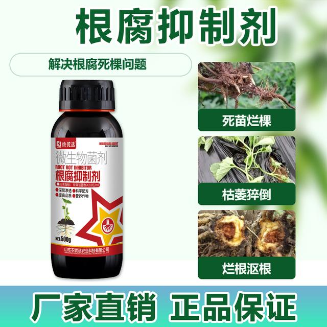 农作物根腐烂根软腐必备根腐抑制剂死棵僵苗黄叶催生新根商品图