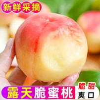 【御品一园】山西脆桃水蜜桃毛桃新鲜鲜甜露天水果新鲜水果商品图
