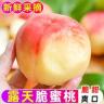 【御品一园】山西脆桃水蜜桃毛桃新鲜鲜甜多汁露天水果新鲜水果商品图