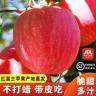 【顺丰京东送货上门】红富士甜苹果冰糖心丑苹果净重脆甜4.5斤8.5斤商品图
