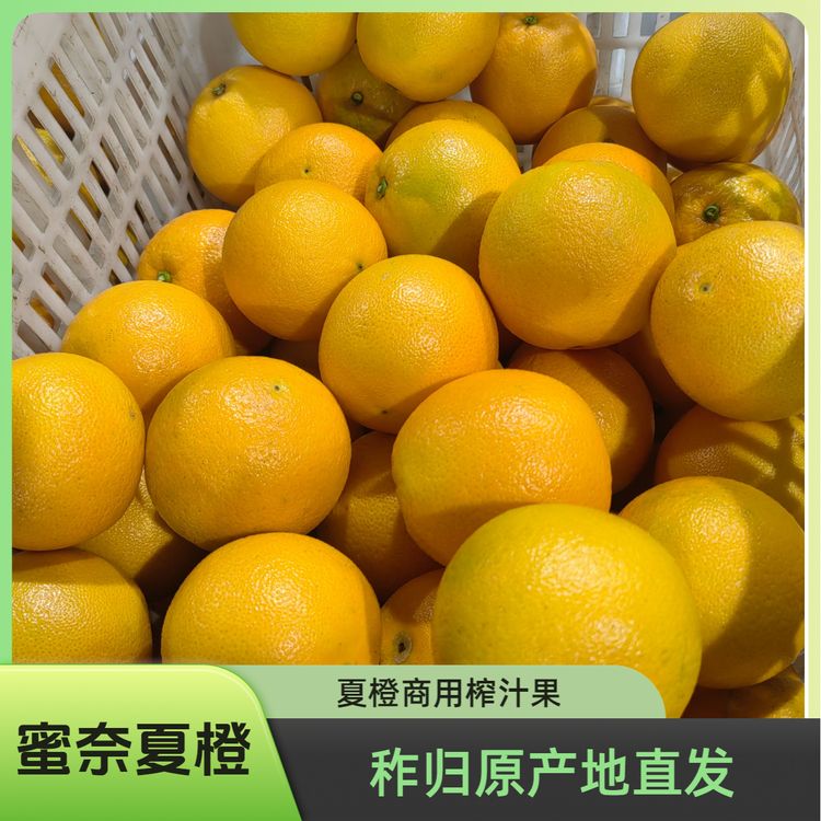 蜜奈夏橙秭归脐橙商用榨汁摆摊专用橙子橙鲜橙批发供应货源稳定商品图