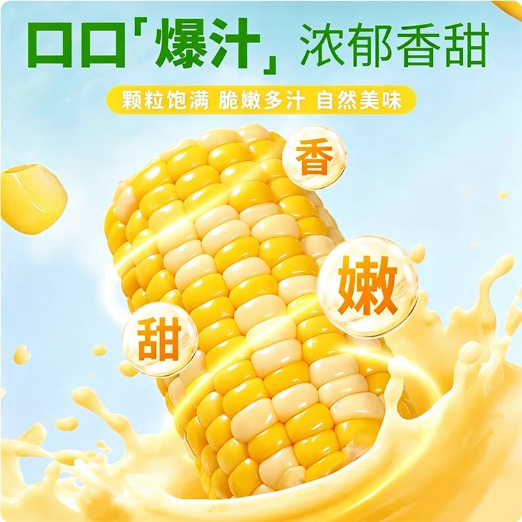 果璀璨甘肃新头茬水果玉米微甜爆汁 开袋即食 甜玉米商品图