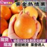 云南特产西双版纳热情果纯甜无酸新鲜水果1-2斤装商品图